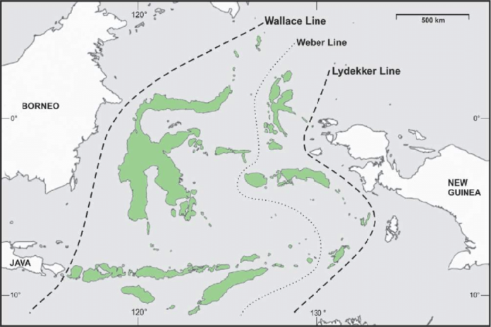 The Wallace Line